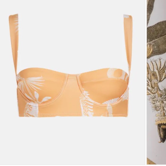 Carolina K Carmel bikini top - Picture 5 of 16